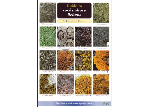 FSC Field Guide to Rocky Shore Lichens