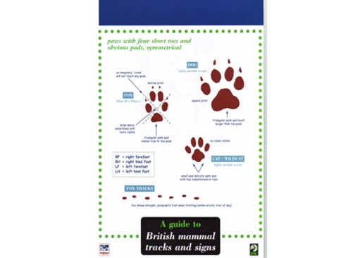 FSC guide to British mammal tracks and signs 