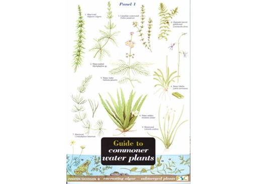 FSC Field Guide to Commoner Water Plants