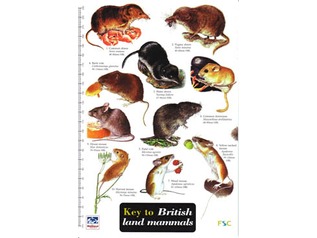 FSC Field Guide to Land Mammals