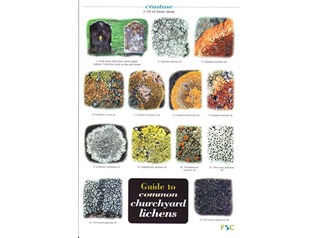 FSC Field Guide to Common Churchyard Lichens