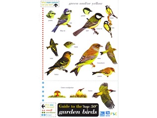 FSC Field Guide to the 50 most common Garden Birds